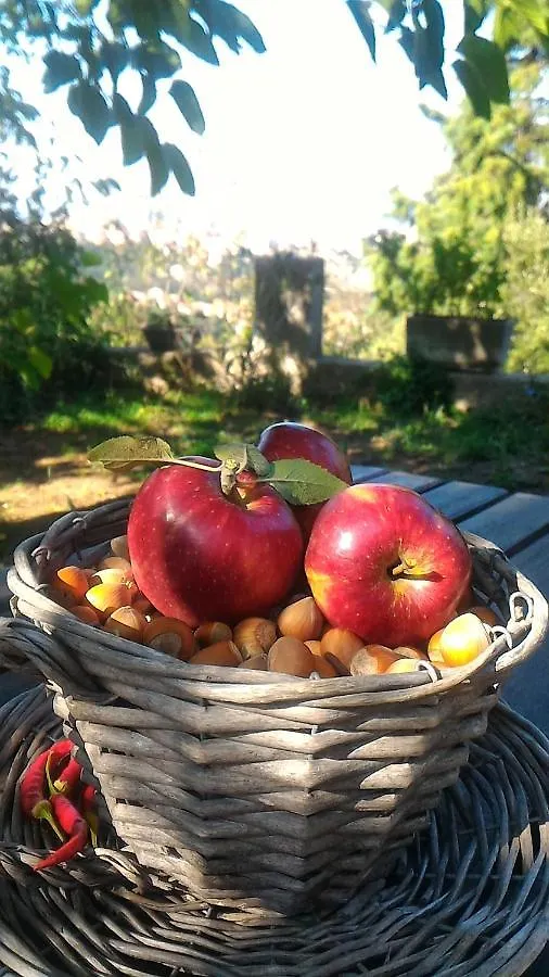 Bed and breakfast B&B Meladormo Tempio Pausania