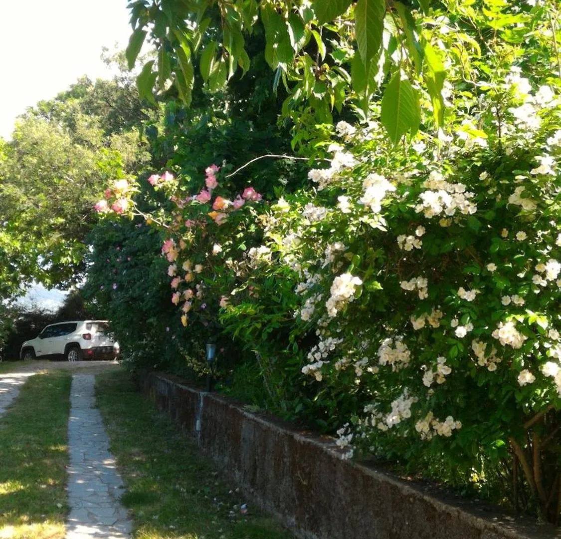 B&B Meladormo Tempio Pausania